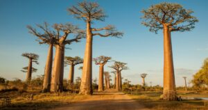 Les immanquables de l’ouest