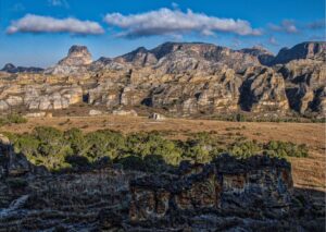 Les meilleurs de Madagascar en road trip