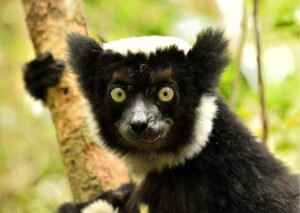 Détours à l’est et extension sur la RN7